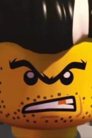 سلسلة كرتون lego city الحلقة 8