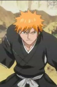 انمي بليتش الحلقة 51