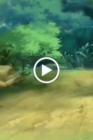 النمر الصغير الحلقة 29
