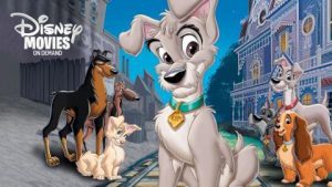 فيلم كرتون النبيلة والشارد 2: انطلاقة سهم | Lady and the Tramp II: Scamp’s Adventure مدبلج لهجة مصري