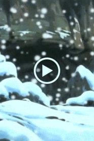 النمر الصغير الحلقة 21