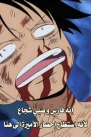 ون بيس الحلقة 114 أُقسم بأحلام الأصدقاء! معركة في مولي هيل في الآفينو الرابع