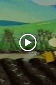 وادي الامان الحلقة 44