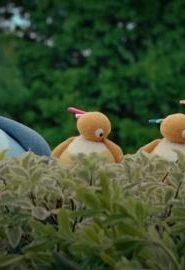 كرتون عائلة تويرليووز – Twirlywoos الموسم 1 الحلقة 24