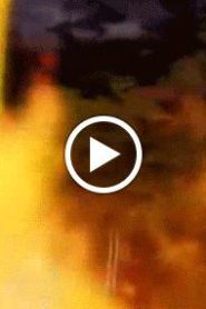 نشأة الآليين الحلقة 14