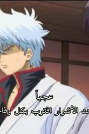 جينتاما الحلقة 41