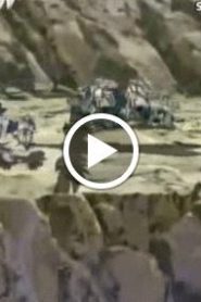نشأة الآليين الحلقة 20