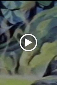 وادي الامان الحلقة 42