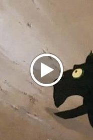 وادي الامان الحلقة 2
