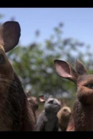 كرتون Watership Down الحلقة 3 – الهروب