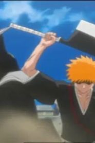 انمي بليتش الحلقة 25