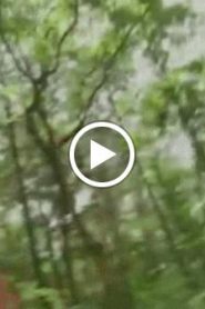 السيف والرقعة الحاسمة الحلقة 11