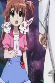 jewelpet رنين الجواهر الموسم الثاني مدبلج الحلقة 13