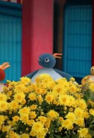 كرتون عائلة تويرليووز – Twirlywoos الموسم 2 الحلقة 47