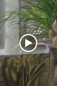 السيف والرقعة الحاسمة الحلقة 14