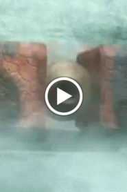 اسطورة محارب السيف الحلقة 27