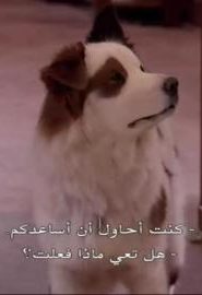 دوغ ويذ أيه بلوغ الحلقة 1