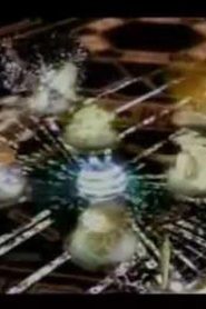 مسلسل Digimon Frontier S4 ابطال الديجتال الموسم الرابع مدبلج الحلقة 44