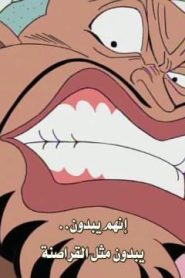ون بيس الحلقة 22 أعظم طاقم قراصنة ! كابتن دون كريغ