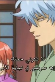 جينتاما الحلقة 29