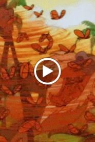 تيمون وبومبا الجزء 6 الحلقة 12