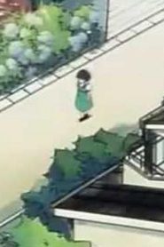 مسلسل ينبوع الأحلام Ranma ½ مدبلج الحلقة 9