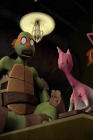سلاحف النينجا Teenage Mutant Ninja Turtles الجزء الثالث مدبلج الحلقة 24