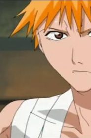 انمي بليتش الحلقة 1
