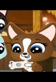 كرتون littlest pet shop الحلقة 19 – إذن تريب يظن أنه يستطيع الرقص
