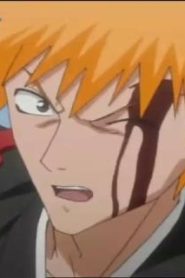 انمي بليتش الحلقة 30
