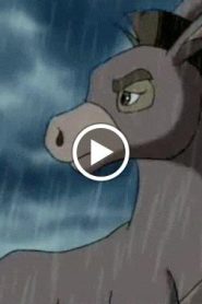 النمر الصغير الحلقة 26