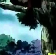 مسلسل القناص الحلقة 9