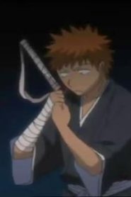 انمي بليتش الحلقة 35