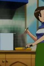 Megaman nt warrior ميغامان محارب النت مدبلج الحلقة 24