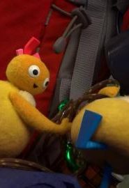 كرتون عائلة تويرليووز – Twirlywoos الموسم 1 الحلقة 41
