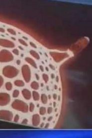 مسلسل بالديو Baldio مدبلج الحلقة 4