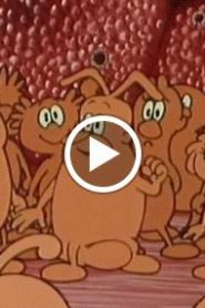 كان يا مكان الحياة الحلقة 20