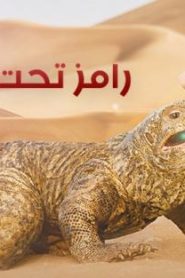 اعلان برنامج رامز تحت الأرض