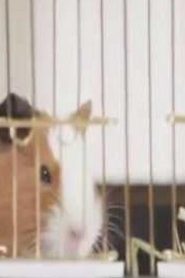 مسلسل Canimals مدبلج الحلقة 16