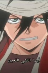 انمي بليتش الحلقة 29