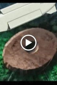 بي بليد المعركة الحديدية Beyblade الموسم الرابع الحلقة 21