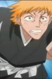 انمي بليتش الحلقة 28