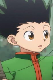 انمي هنتر x هنتر 2011 مدبلج الحلقة 14 :اقتناص الهدف