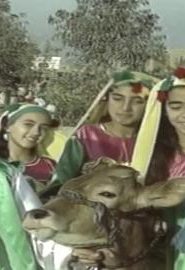 بوجي وطمطم الموسم 2 أولاد القمر الحلقة 21