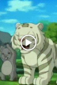 النمر الصغير الحلقة 6