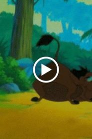 تيمون وبومبا الجزء 6 الحلقة 9