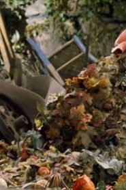 Fraggle Rock: Back to the Rock الموسم 1 الحلقة 12