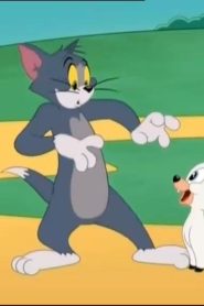 عرض توم وجيري الموسم 5 الحلقة 32 الحمل الضائع
