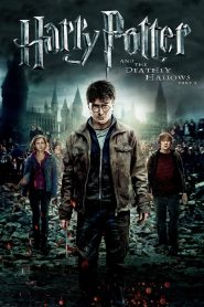 فيلم هاري بوتر ومقدسات الموت – الجزء 2 – Harry Potter and the Deathly Hallows: Part 2 مترجم عربي