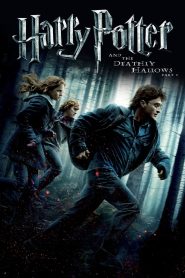 فيلم هاري بوتر ومقدسات الموت – الجزء 1 – Harry Potter and the Deathly Hallows: Part 1 مترجم عربي
